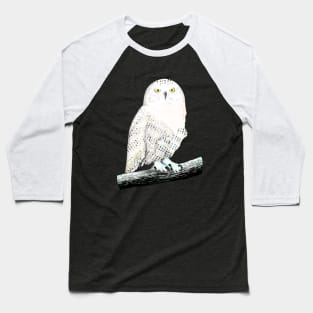 Snowy owl Baseball T-Shirt